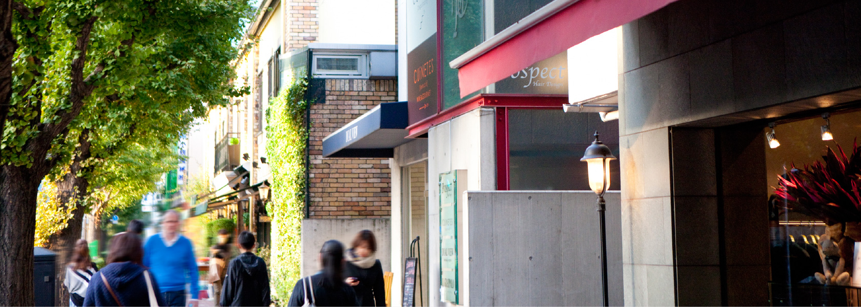 地域資源に密着